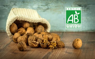 Agriculture biologique : notre production de noix est certifiée
